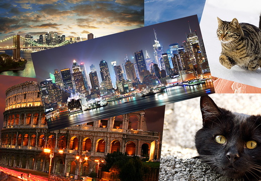 Фотогалереи