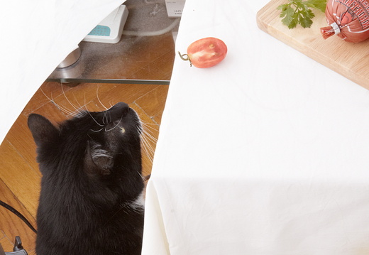 Фотосъемка